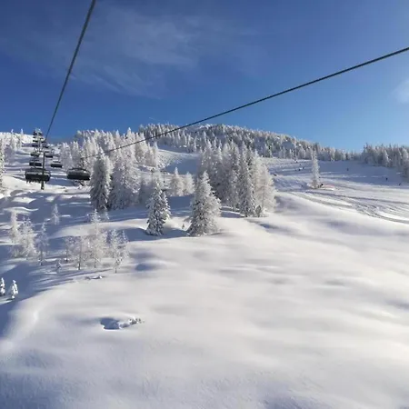 In Altenmarkt Near Slopes