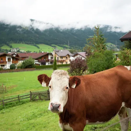 Lejlighed In Altenmarkt Near Slopes *