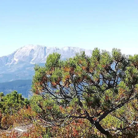 아파트 In Altenmarkt Near Slopes 알텐막팀퐁와