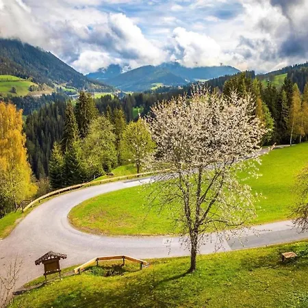 In Altenmarkt Near Slopes 아파트