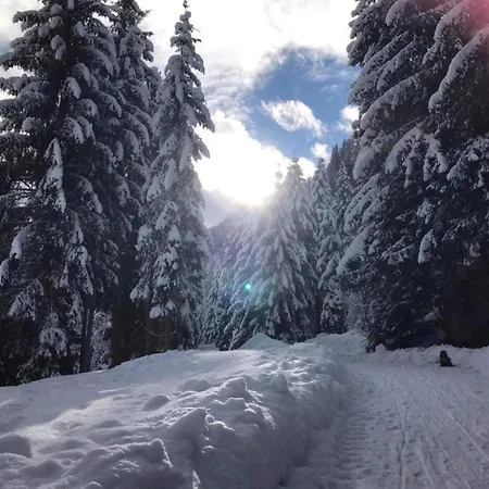 Apartment In Altenmarkt Near Ski Slopes Apartment *