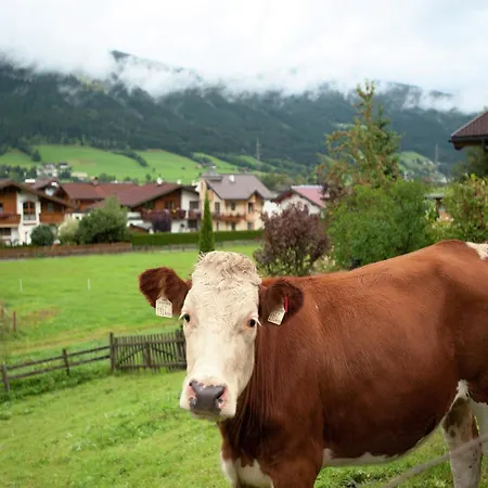 In Altenmarkt Near Slopes 알텐막팀퐁와