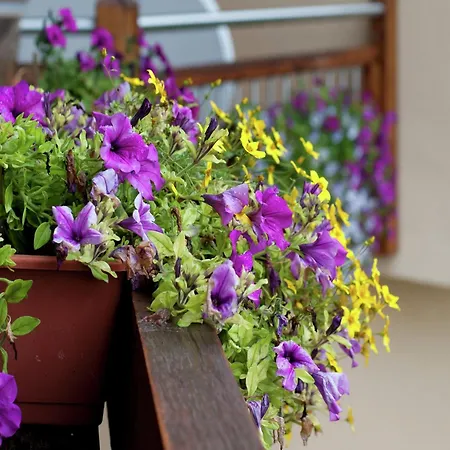 아파트 In Altenmarkt Near Slopes *